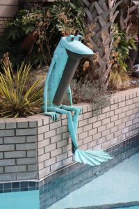 2017-01-28 CFGC Wander in a Winter Garden 11