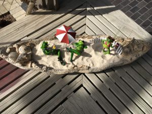 2017-01-28 CFGC Wander in a Winter Garden 12
