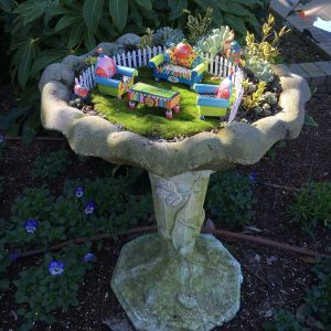 2017-01-28 CFGC Wander in a Winter Garden 22