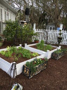2017-01-28 Sarah Anderson's Garden - 35