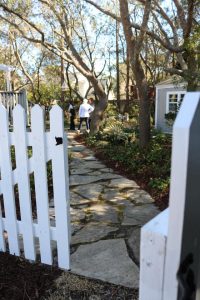 2017-01-28 Sarah Anderson's Garden - 35A