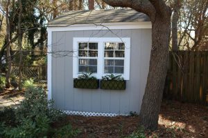 2017-01-28 Sarah Anderson's Garden - 36
