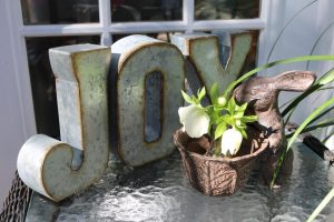2017-01-28 Sarah Anderson's Garden - 37