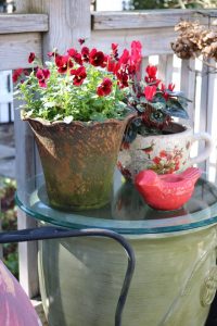 2017-01-28 Sarah Anderson's Garden - 39