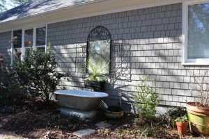 2017-01-28 Sarah Anderson's Garden - 46