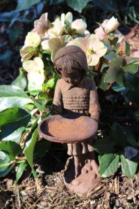 2017-01-28 Sarah Anderson's Garden - 48