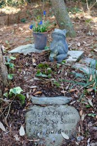 2017-01-28 Sarah Anderson's Garden -49